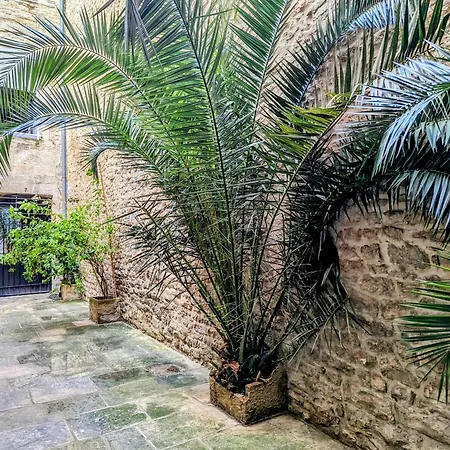 L'escale Secrete - Emplacement Premium Nîmes